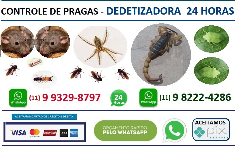 Desentupidora - Dedetizadora - Sao Paulo SP 11 9 9329-8797 SP