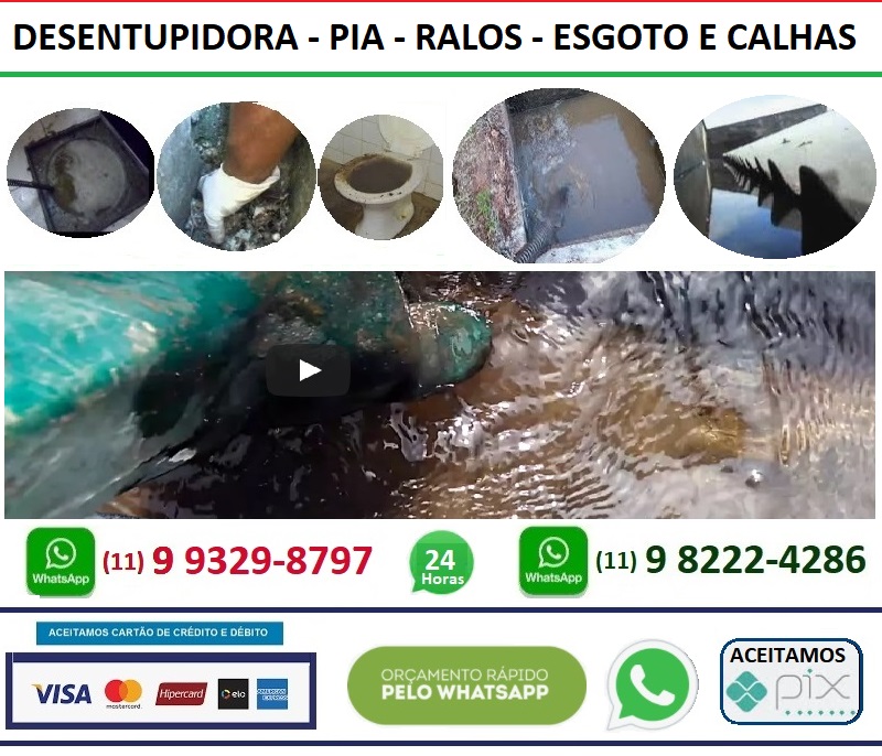 Dedetizadora Vila Cisper - Sao Paulo SP 11 9 9329-8797 SP