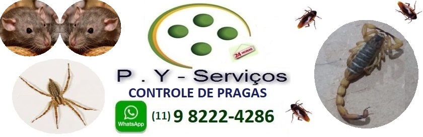 Dedetizadora  - Sao Paulo SP 11 9 9329-8797 SP