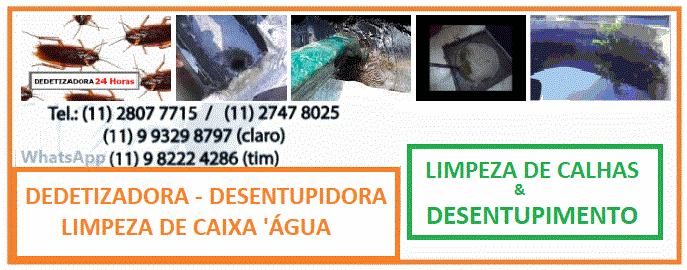Frete Itaquera 11 9 9329-8797